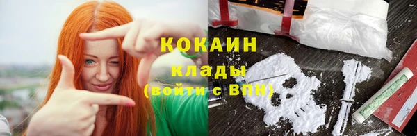 СК Новозыбков