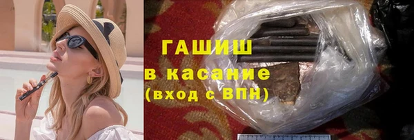 стафф Новодвинск