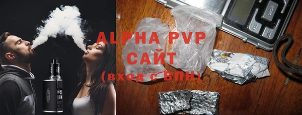 стафф Новодвинск