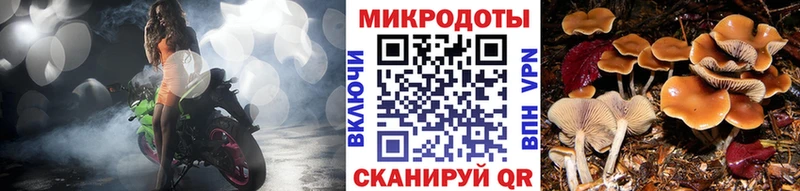 Галлюциногенные грибы прущие грибы  Козьмодемьянск 